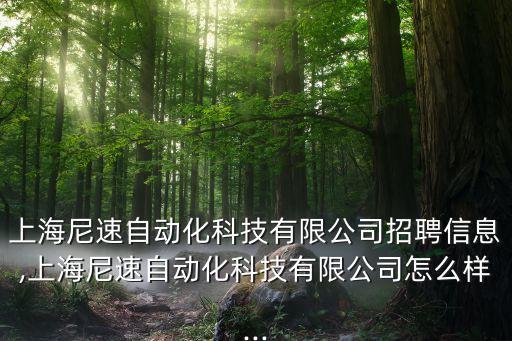 上海尼速自動(dòng)化科技有限公司招聘信息,上海尼速自動(dòng)化科技有限公司怎么樣...