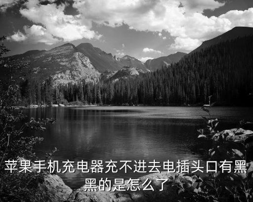 蘋(píng)果手機(jī)充電器充不進(jìn)去電插頭口有黑黑的是怎么了