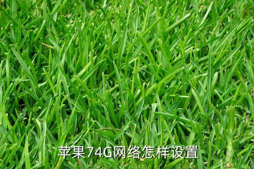 蘋果7的移動數(shù)據(jù)怎么開啟,蘋果開啟移動數(shù)據(jù)在哪里