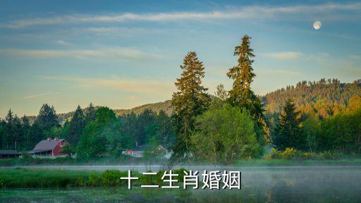 十二生肖婚姻