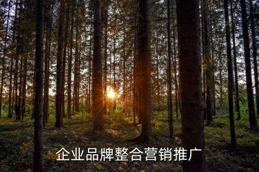 企業(yè)品牌整合營銷推廣