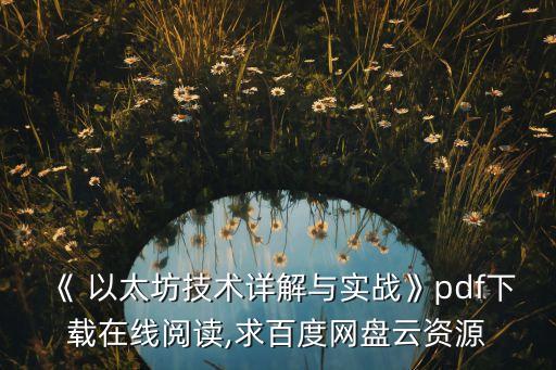 《 以太坊技術(shù)詳解與實(shí)戰(zhàn)》pdf下載在線閱讀,求百度網(wǎng)盤云資源