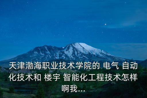 天津渤海職業(yè)技術(shù)學(xué)院的 電氣 自動(dòng)化技術(shù)和 樓宇 智能化工程技術(shù)怎樣啊我...