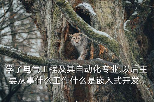 學(xué)了電氣工程及其自動化專業(yè),以后主要從事什么工作什么是嵌入式開發(fā)...