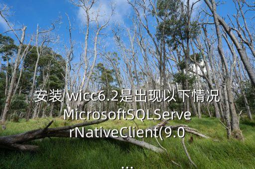 安裝 wicc6.2是出現(xiàn)以下情況MicrosoftSQLServerNativeClient(9.0...