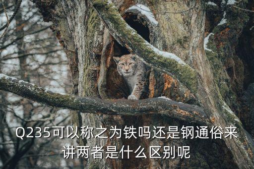 Q235可以稱之為鐵嗎還是鋼通俗來講兩者是什么區(qū)別呢