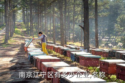 南京江寧區(qū)有多少企業(yè),名稱