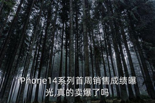 蘋(píng)果手機(jī)銷(xiāo)售量數(shù)據(jù)表,2022年蘋(píng)果手機(jī)銷(xiāo)售量