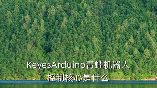 KeyesArduino青蛙機(jī)器人控制核心是什么