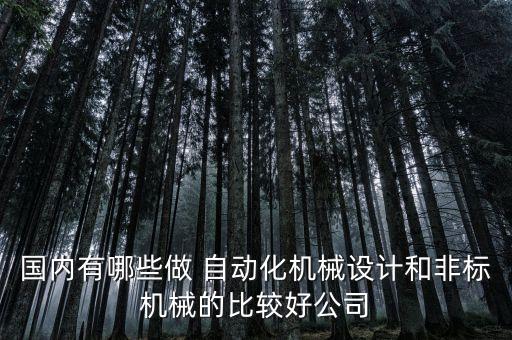 國內有哪些做 自動化機械設計和非標機械的比較好公司