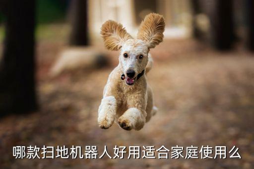 家庭全能機(jī)器人,家庭衛(wèi)生掃地機(jī)器人好用嗎?