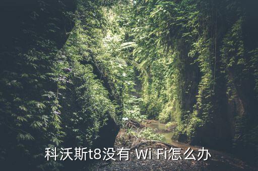 科沃斯t8沒(méi)有 Wi Fi怎么辦