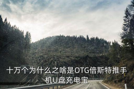 十萬個(gè)為什么之啥是OTG倍斯特推手機(jī)U盤充電寶