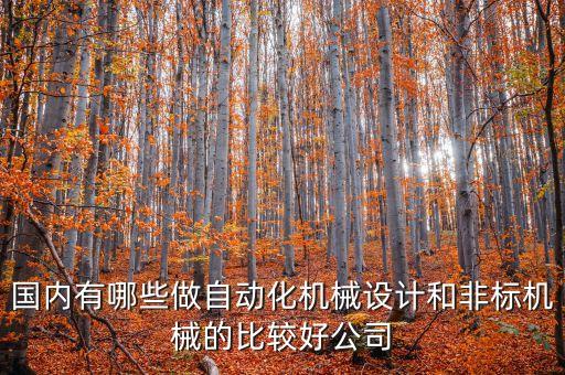 國內(nèi)有哪些做自動化機(jī)械設(shè)計和非標(biāo)機(jī)械的比較好公司
