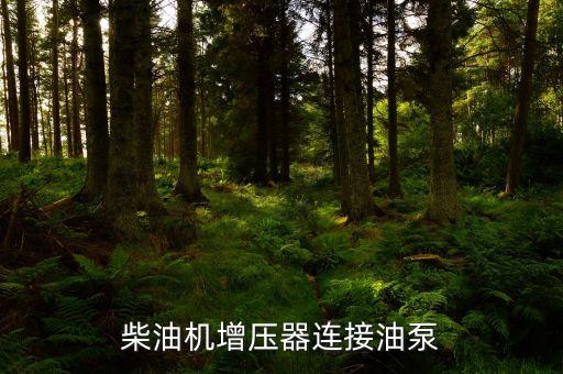 自動化設備怎么連接油泵,汽車怎么加裝電子泵?