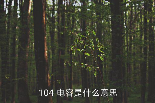 104電容