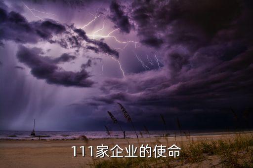 111家企業(yè)的使命
