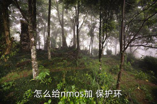 保護環(huán),兩纖保護環(huán)有何區(qū)別?自動保護斜裝技術(shù)可做什么?