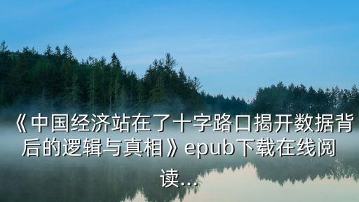《中國(guó)經(jīng)濟(jì)站在了十字路口揭開(kāi)數(shù)據(jù)背后的邏輯與真相》epub下載在線閱讀...