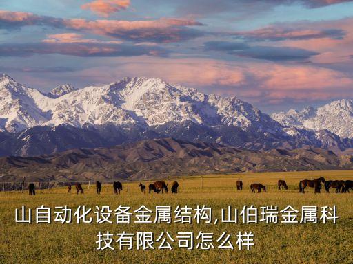 馬鞍山自動(dòng)化設(shè)備金屬結(jié)構(gòu),山伯瑞金屬科技有限公司怎么樣?