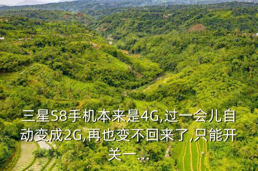 三星S8手機(jī)本來(lái)是4G,過(guò)一會(huì)兒自動(dòng)變成2G,再也變不回來(lái)了,只能開關(guān)一...