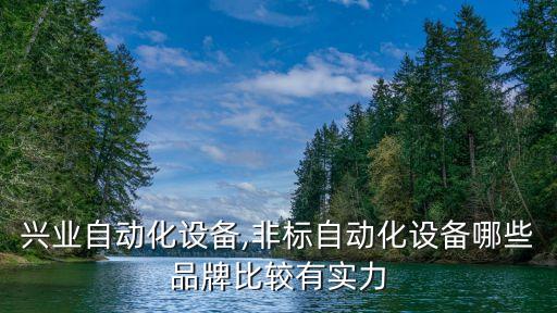 實(shí)力興業(yè)自動(dòng)化設(shè)備,非標(biāo)自動(dòng)化設(shè)備哪些品牌比較有實(shí)力?