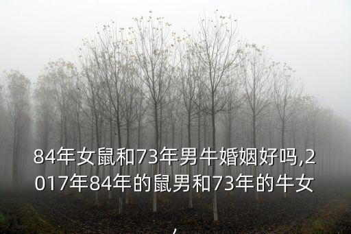 84年女鼠和73年男?；橐龊脝?2017年84年的鼠男和73年的牛女,
