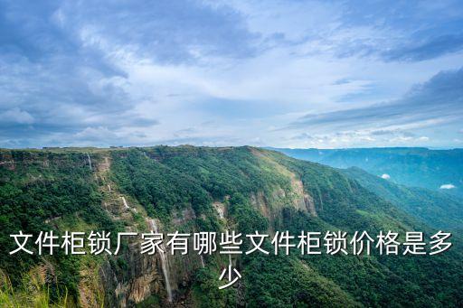 文件柜鎖廠家有哪些文件柜鎖價(jià)格是多少
