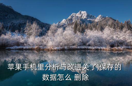 蘋(píng)果手機(jī)里分析與改進(jìn)關(guān)了,保存的 數(shù)據(jù)怎么 刪除