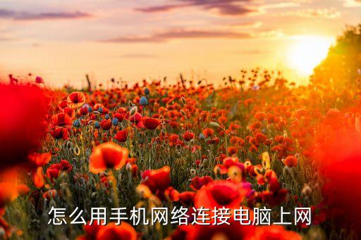 如何連接數(shù)據(jù)線上網(wǎng),手機(jī)怎么用數(shù)據(jù)線連接電腦上網(wǎng)?