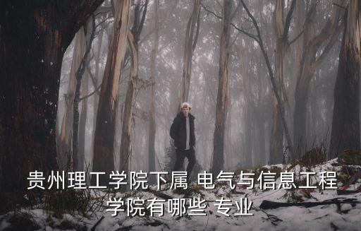  貴州理工學院下屬 電氣與信息工程學院有哪些 專業(yè)