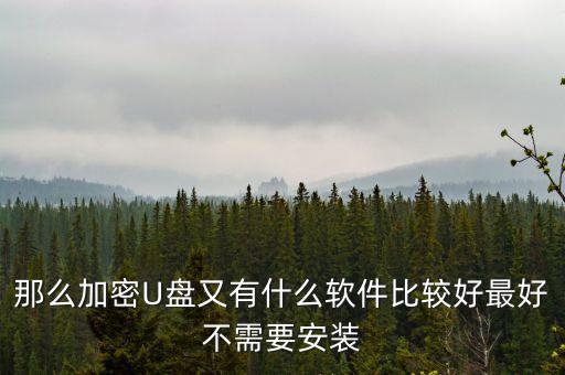 那么加密U盤又有什么軟件比較好最好不需要安裝