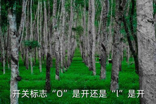 開(kāi)關(guān)的符號(hào),開(kāi)關(guān)符號(hào)o和一