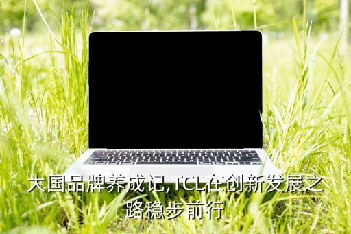 大國品牌養(yǎng)成記,TCL在創(chuàng)新發(fā)展之路穩(wěn)步前行