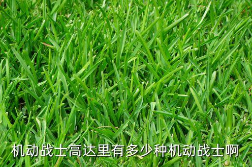 機(jī)動(dòng)戰(zhàn)士高達(dá)里有多少種機(jī)動(dòng)戰(zhàn)士啊