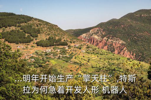 ...明年開(kāi)始生產(chǎn)“擎天柱”,特斯拉為何急著開(kāi)發(fā)人形 機(jī)器人