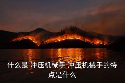 什么是 沖壓機械手 沖壓機械手的特點是什么