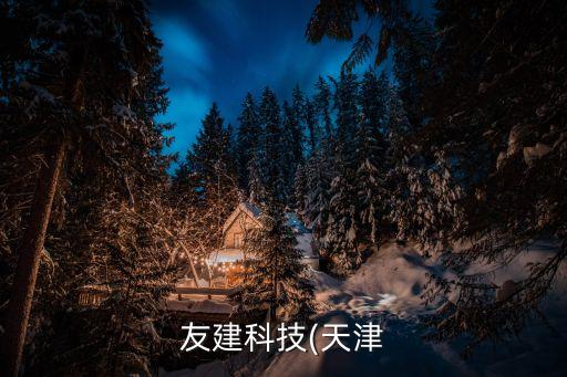 友建科技(天津
