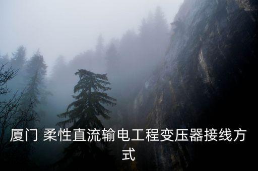 廈門 柔性直流輸電工程變壓器接線方式