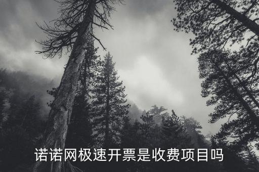 諾諾網(wǎng)極速開票是收費(fèi)項(xiàng)目嗎