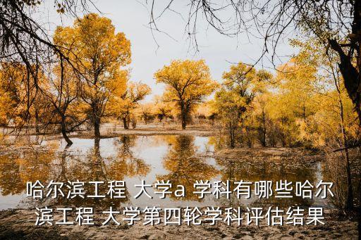 大學(xué)自動化專業(yè)a 評級,西南大學(xué)電氣工程及其自動化評級