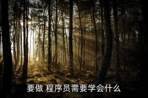 要做 程序員需要學會什么