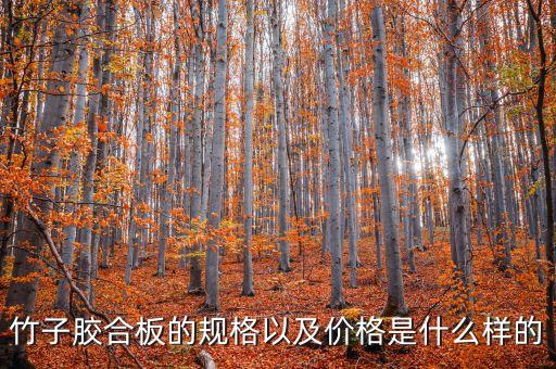 竹子膠合板的規(guī)格以及價格是什么樣的