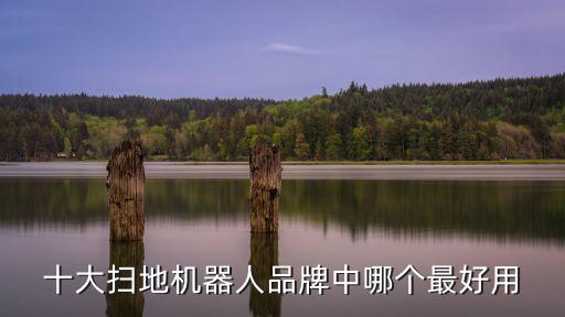 十大掃地機(jī)器人品牌中哪個(gè)最好用