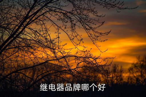 繼電器品牌哪個(gè)好