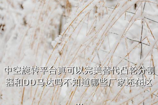 中空旋轉(zhuǎn)平臺(tái)真可以完美替代凸輪分割器和DD馬達(dá)嗎不知道哪些廠家還在這...