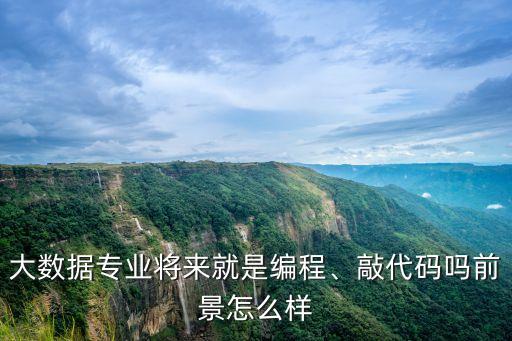 大數(shù)據(jù)專業(yè)將來(lái)就是編程、敲代碼嗎前景怎么樣