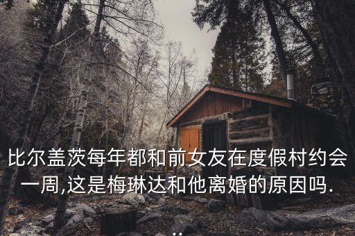 比爾蓋茨微博,比爾蓋茨疑似新歡惹爭議?