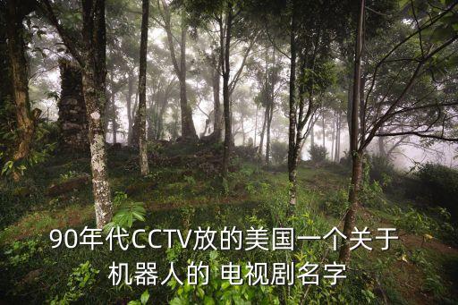 90年代CCTV放的美國(guó)一個(gè)關(guān)于 機(jī)器人的 電視劇名字