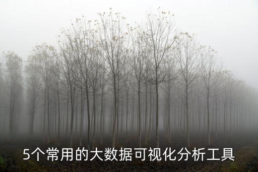 5個(gè)常用的大數(shù)據(jù)可視化分析工具